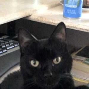 Meet your Posher, Francesco